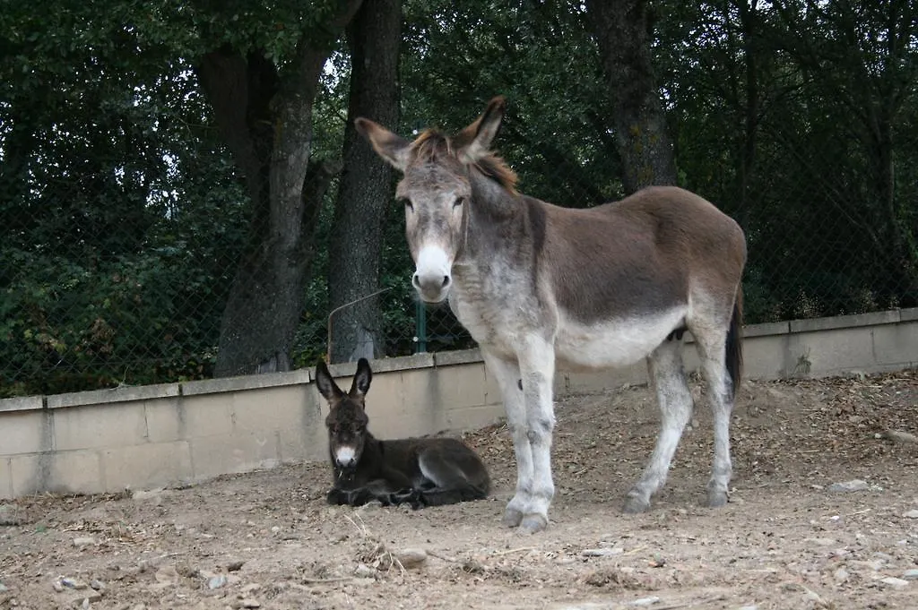 La Granja De Vitoria Guest House Hueto Arriba Country house